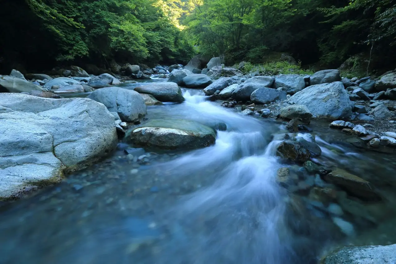 Streamline Your Customer Communications: The Importance of Setting Up a Proper Call Flow