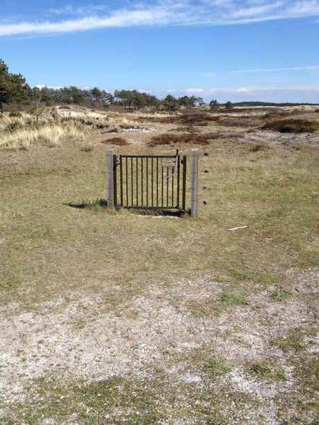 Top-tier security: A locked gate standing guard over absolutely nothing. Hackers must be shaking in their boots.